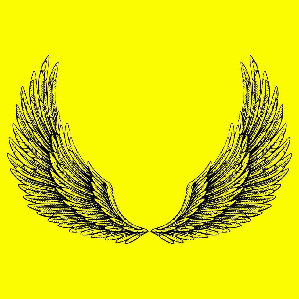 Wings vector design for logo ornament