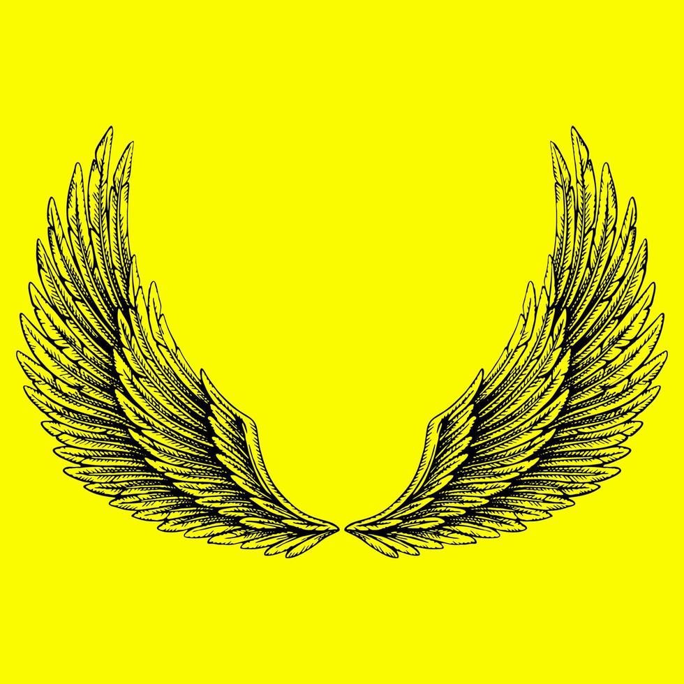 Wings vector design for logo ornament