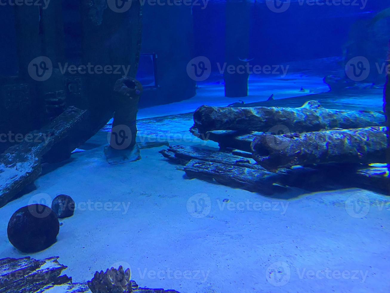 An old cannon sunken under water covered with algae and corals at the bottom of the ocean. Diving concept photo