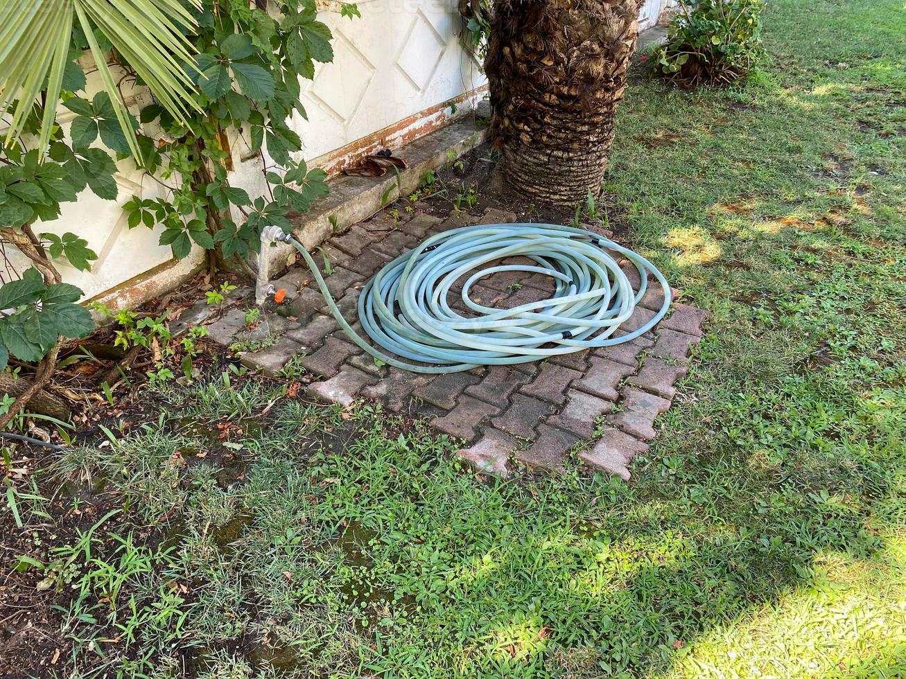 Automatic watering system lawn green grass garden, watering plants, gardening, things to do on self-isolation covid-19 photo