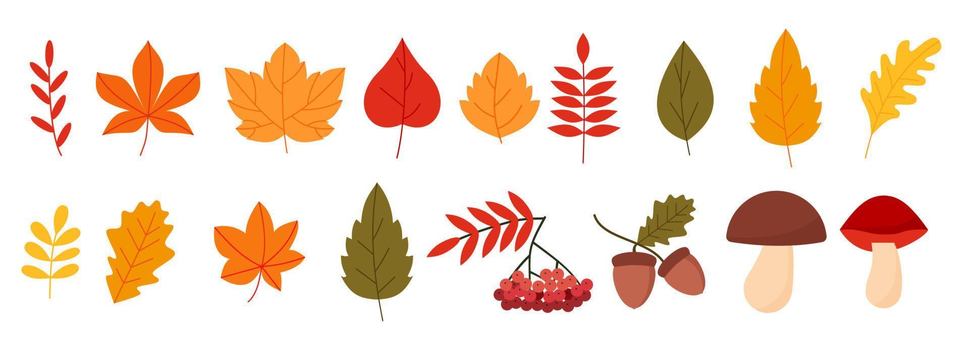 conjunto colorido con elementos de otoño estilo plano vector