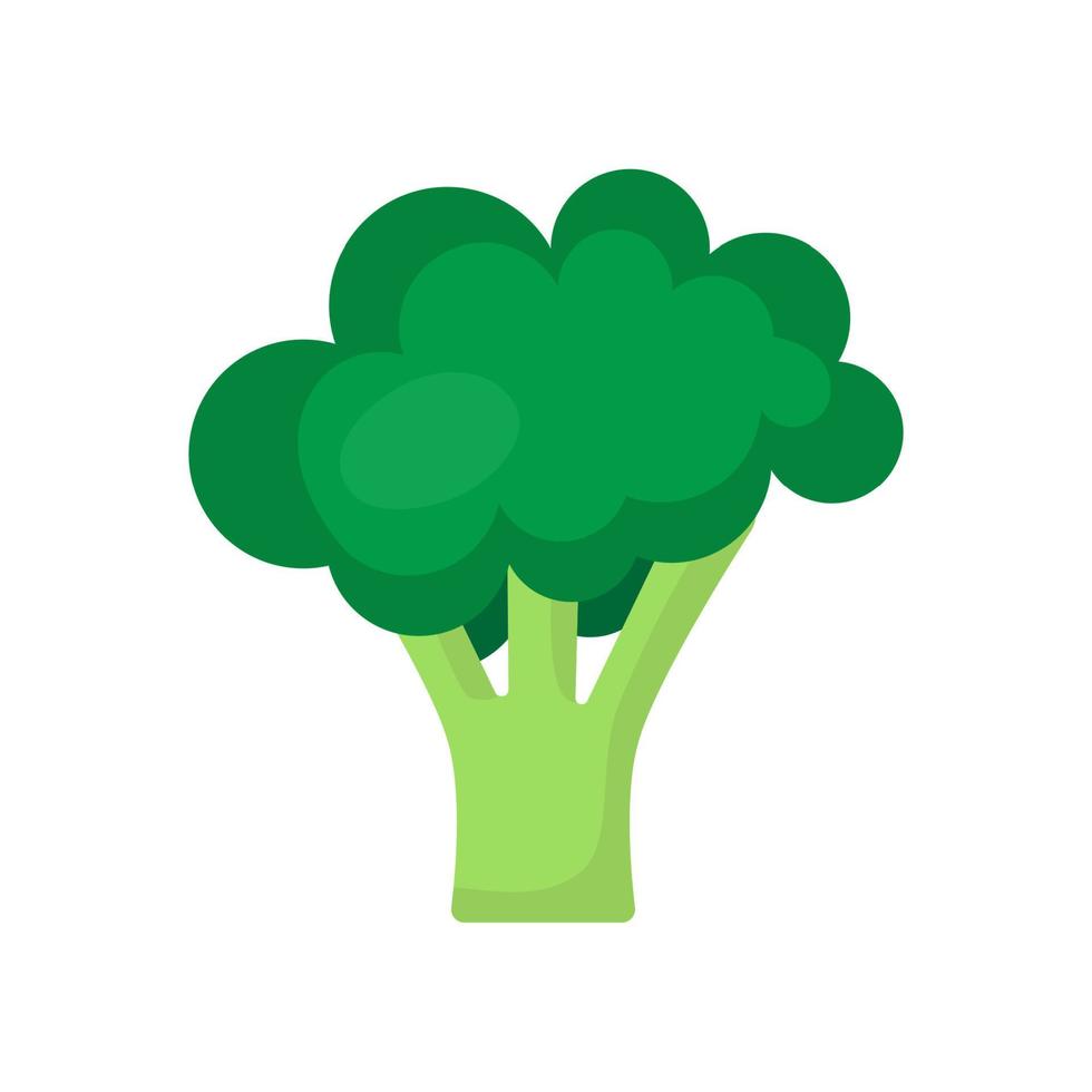 icono de brócoli fondo blanco estilo plano imprimir diseño web eps 10 vector