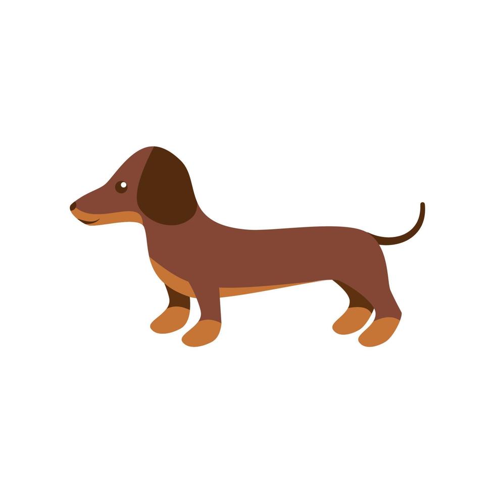 ilustración vectorial de dachshund para impresión y diseño web sobre un fondo blanco eps 10 vector