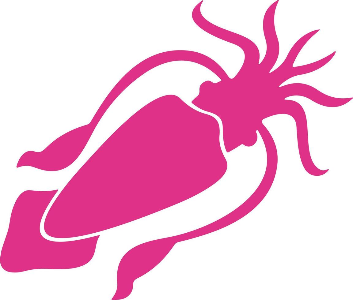 Squid flat illustrated vector