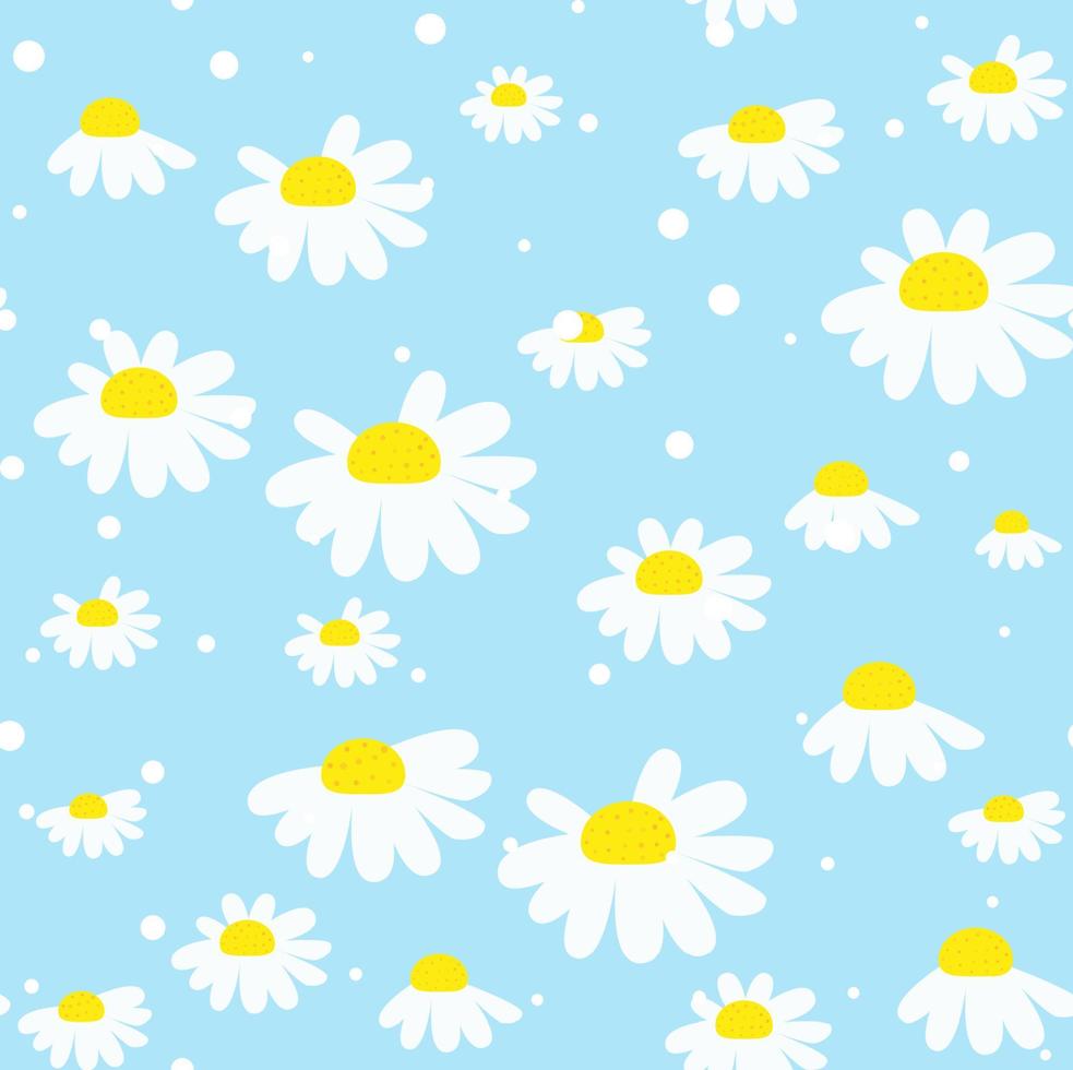 Seamless pattern with chamomile flowers on blue background. vector