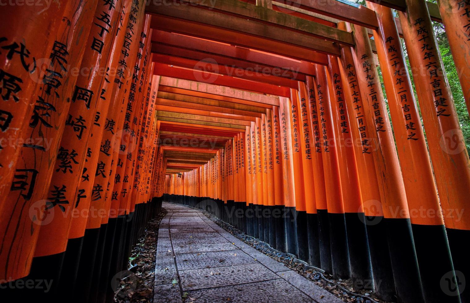Orange gates at Fushima-Inari Taisha Shrine in Kyoto, Japan photo