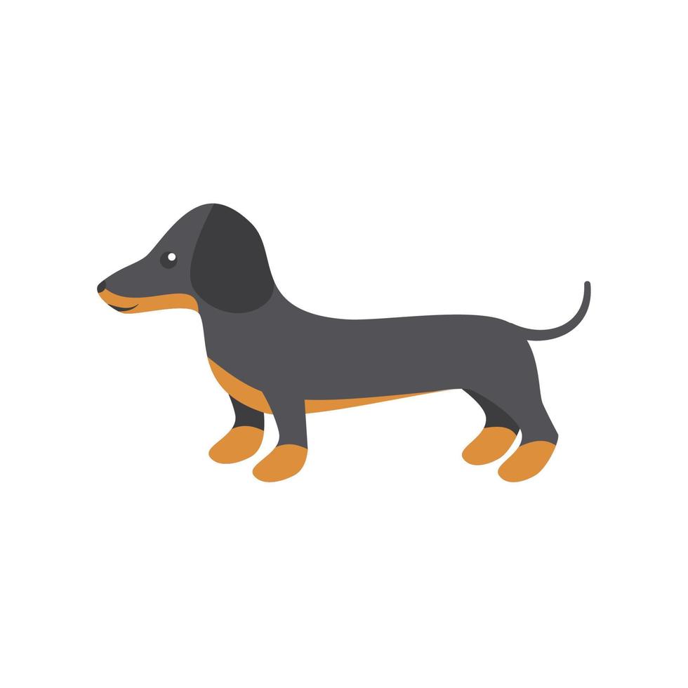 Vector illustration of dachshund for print and web design on a white background eps 10