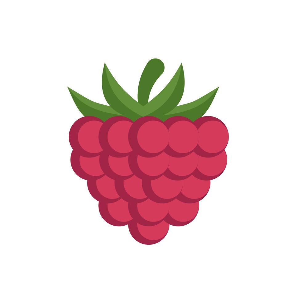 Raspberry vector icon isolated on white background, flat, cartoon style. For web design and print.