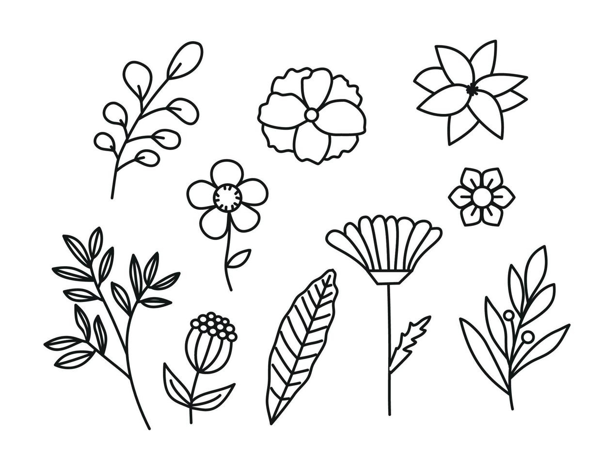 Set of hand drawn flowers and leaves new design . Vector illustration