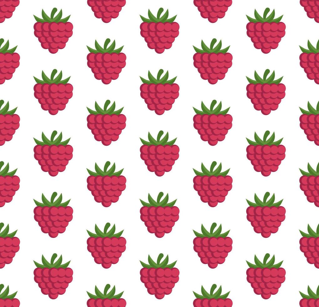 seamless pattern with raspberriesVector seamless pattern in raspberries on a white background vector