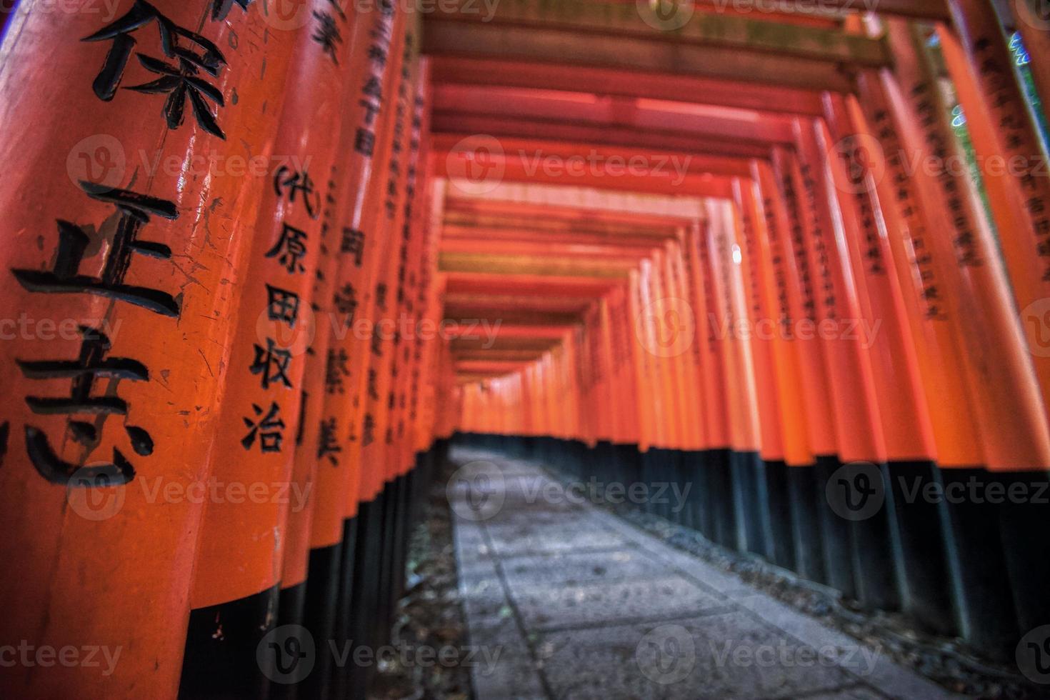 puertas naranjas en el santuario fushima-inari taisha en kyoto, japón foto