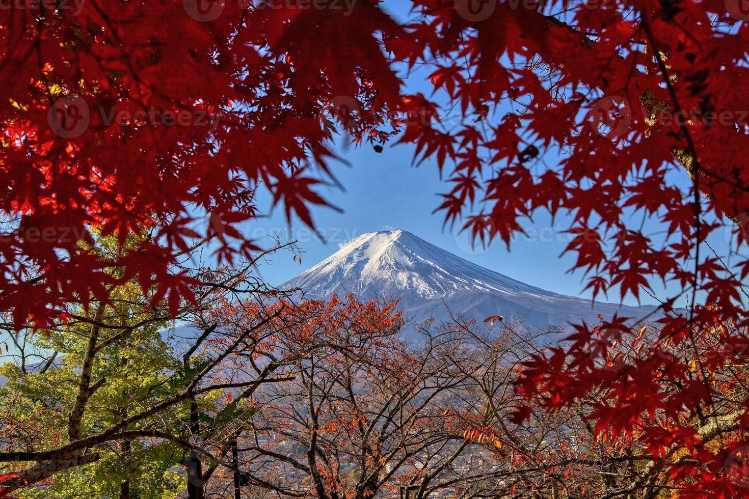 monte. fuji de la pagoda chureito foto