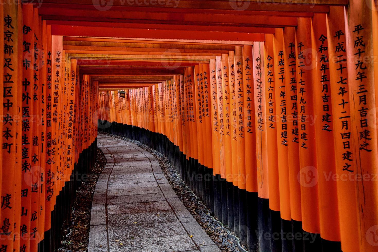 Orange gates at Fushima-Inari Taisha Shrine in Kyoto, Japan photo