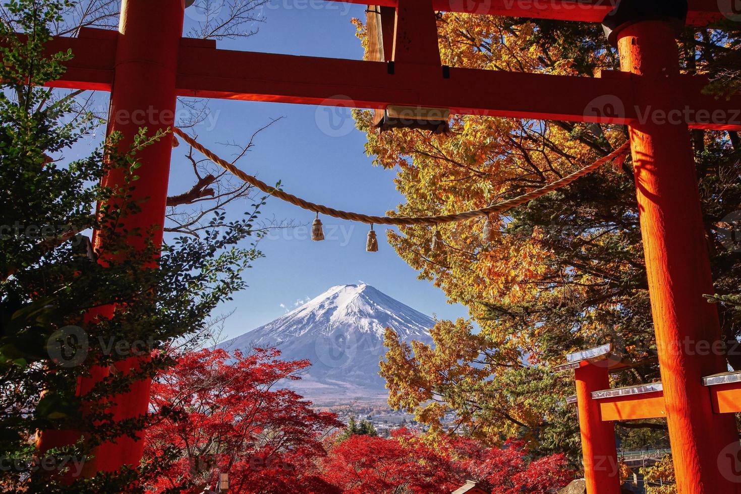 Mt. Fuji from Chureito Pagoda photo