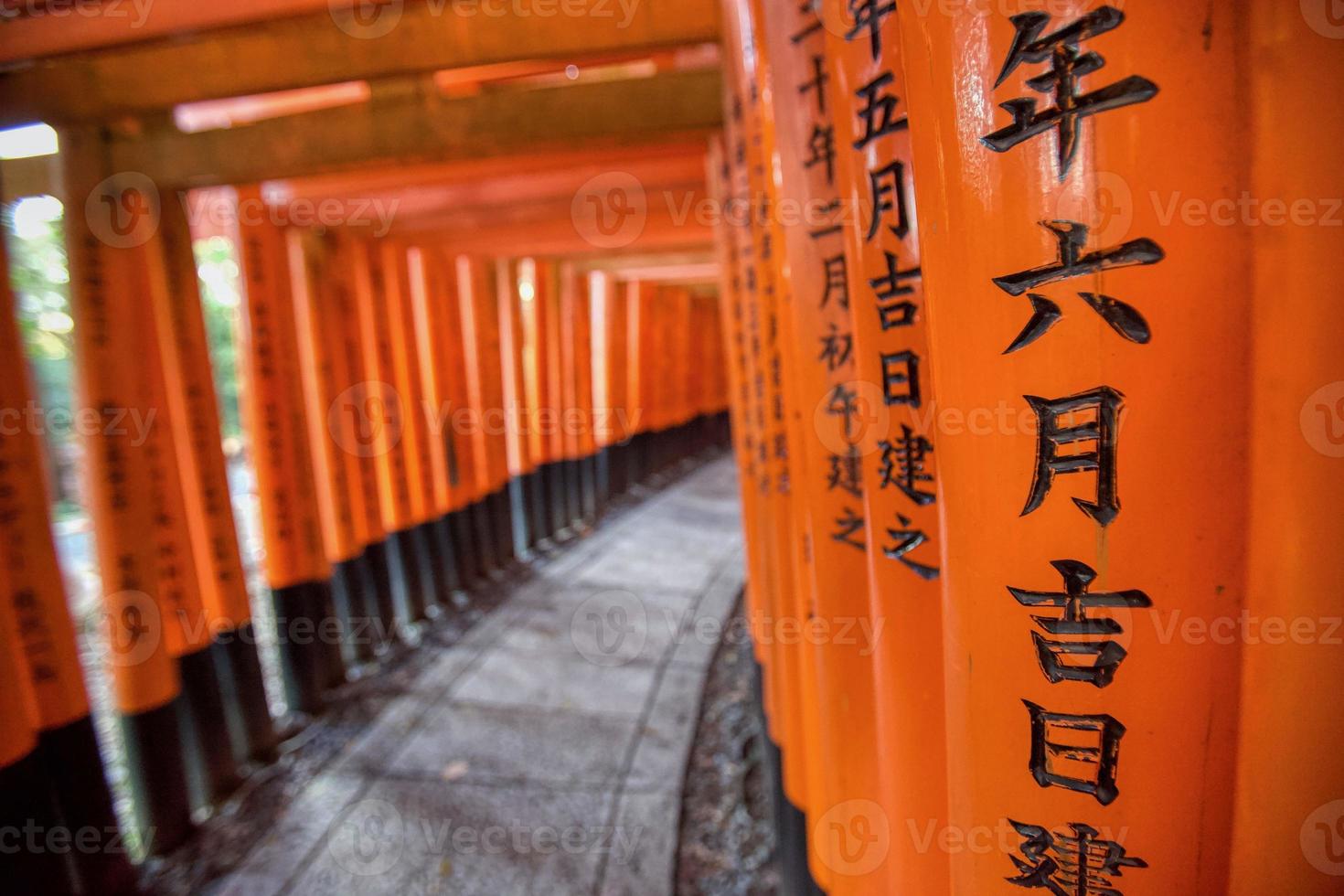 Orange gates at Fushima-Inari Taisha Shrine in Kyoto, Japan photo