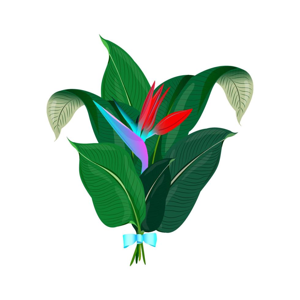 An exotic bouquet of tropical leaves and a strelitsa flower with a blue bow vector