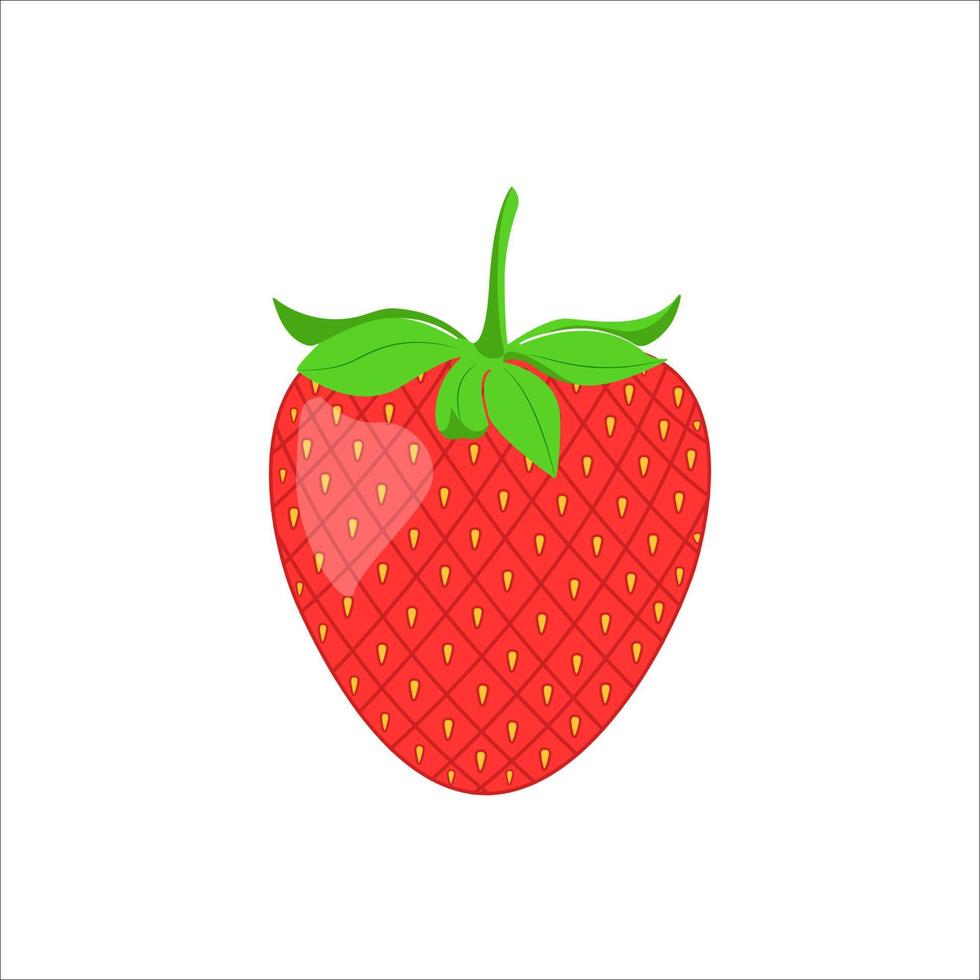 ilustración plana, fresas sobre un fondo blanco vector