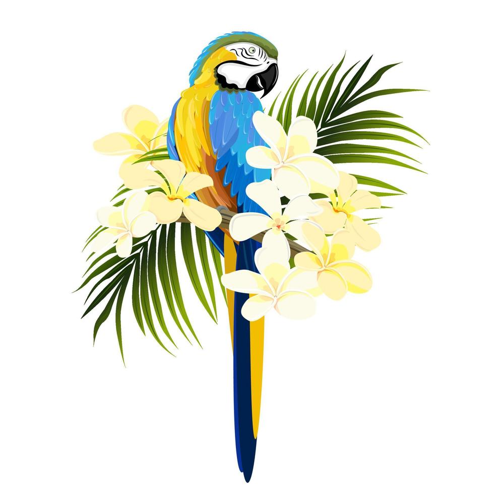 loro guacamayo en flores blancas de plumeria y hojas de palma resaltadas en un fondo blanco vector