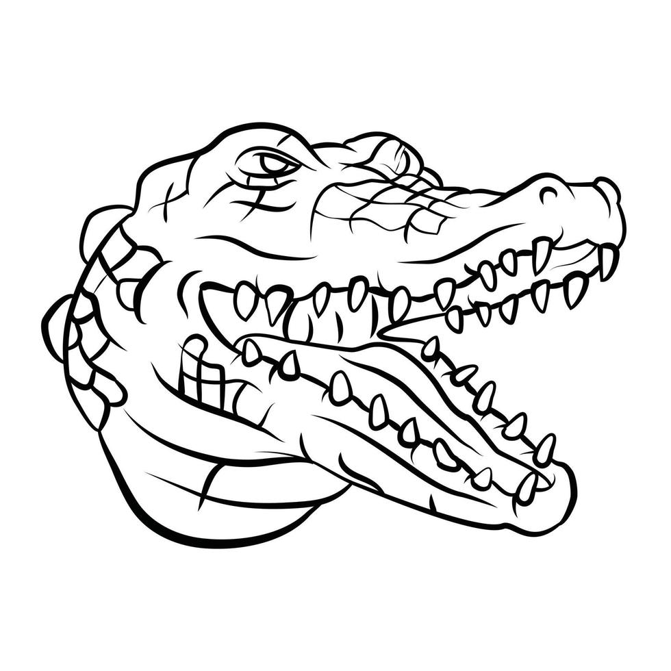 Crocodile Head Illustration vector