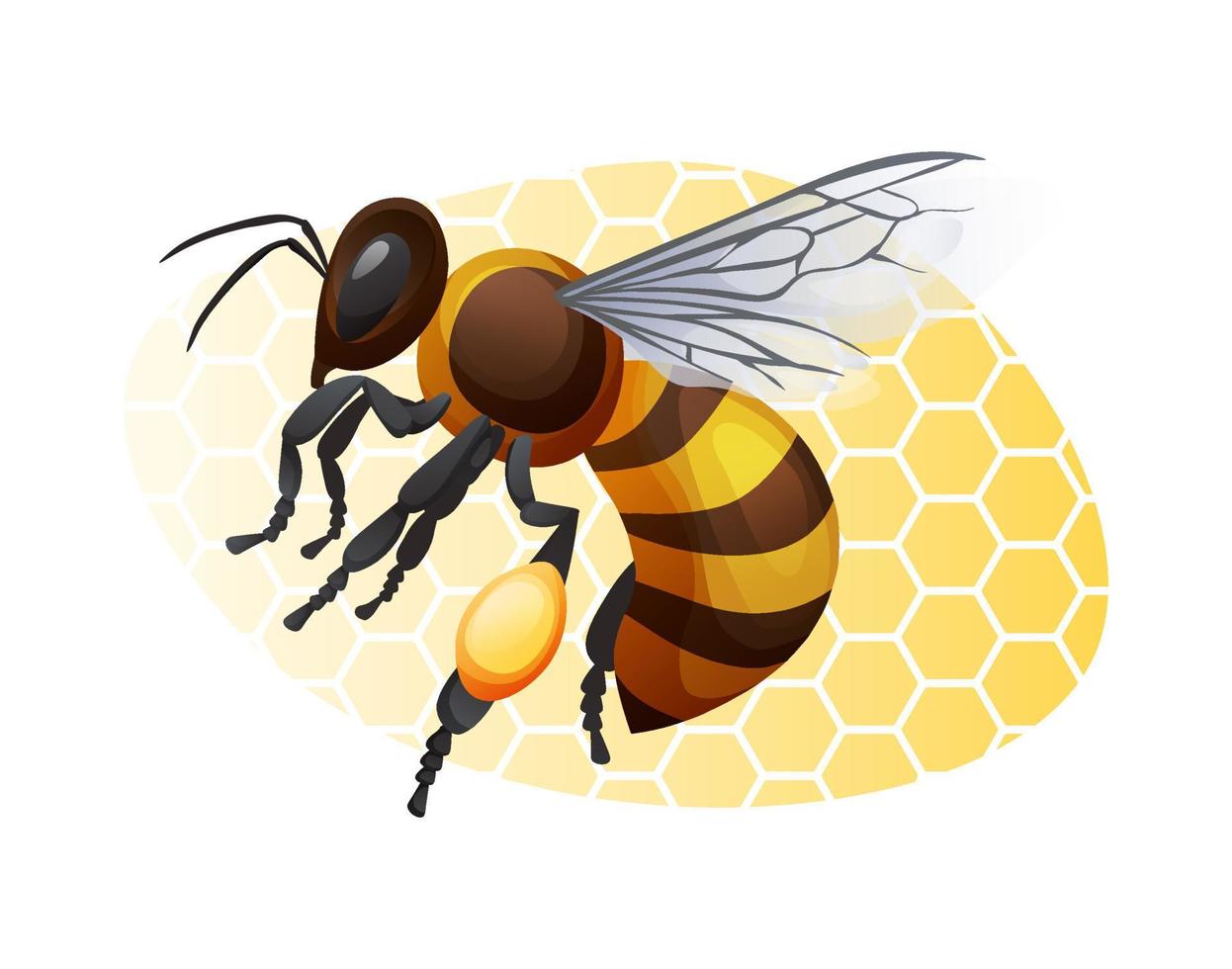 abeja de miel sobre un fondo amarillo. ilustración de insectos rayados aislado sobre fondo blanco. pegatina, impresión, logotipo. vector