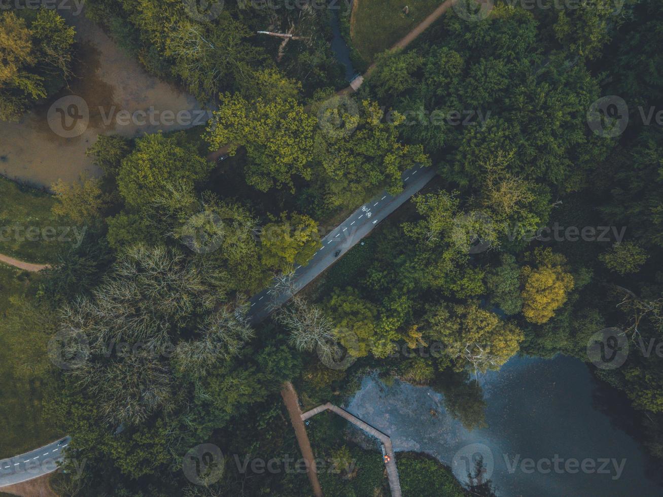 parque munke mose en odense, dinamarca por drone foto