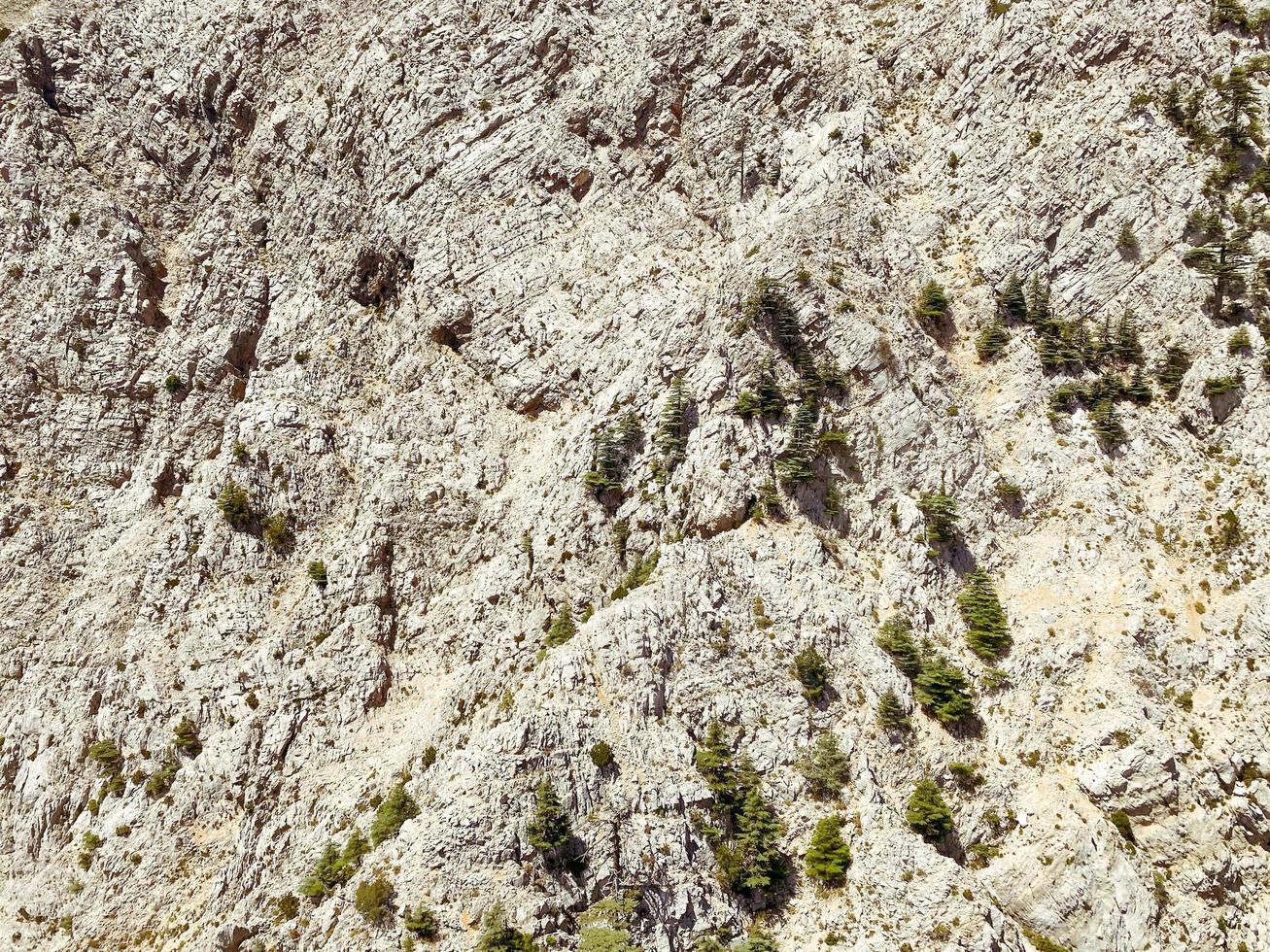 mountains in a hot, tropical country. texture with sand and stones. piece of mountain with green bushes and herbs. 3d background, natural texture photo