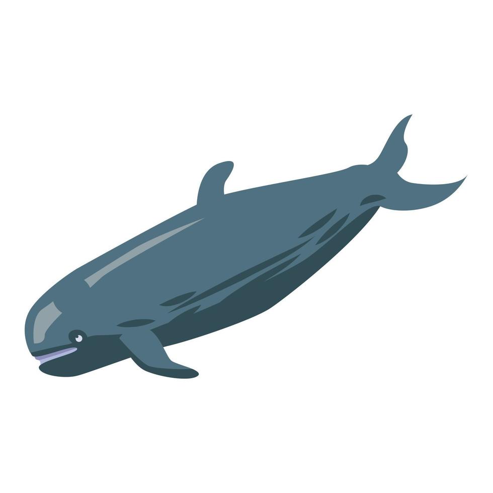 Sperm whale icon, isometric style vector