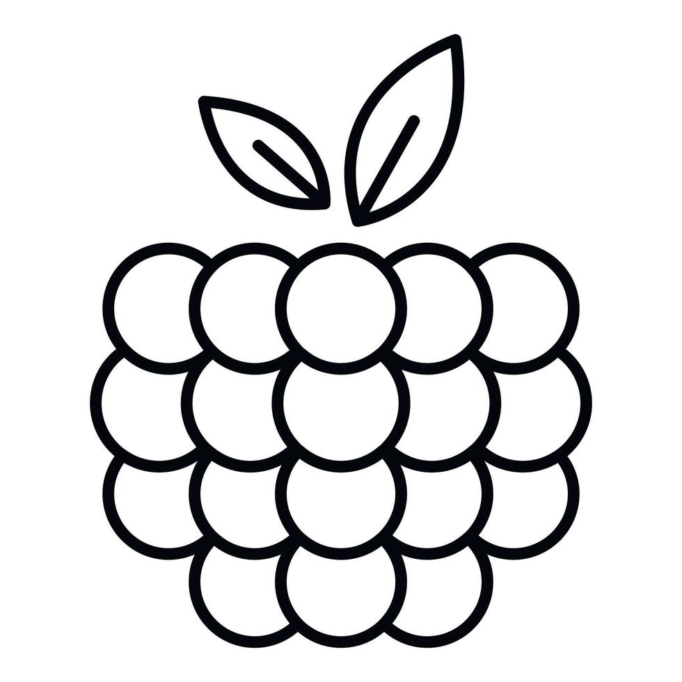 Raspberry icon, outline style vector