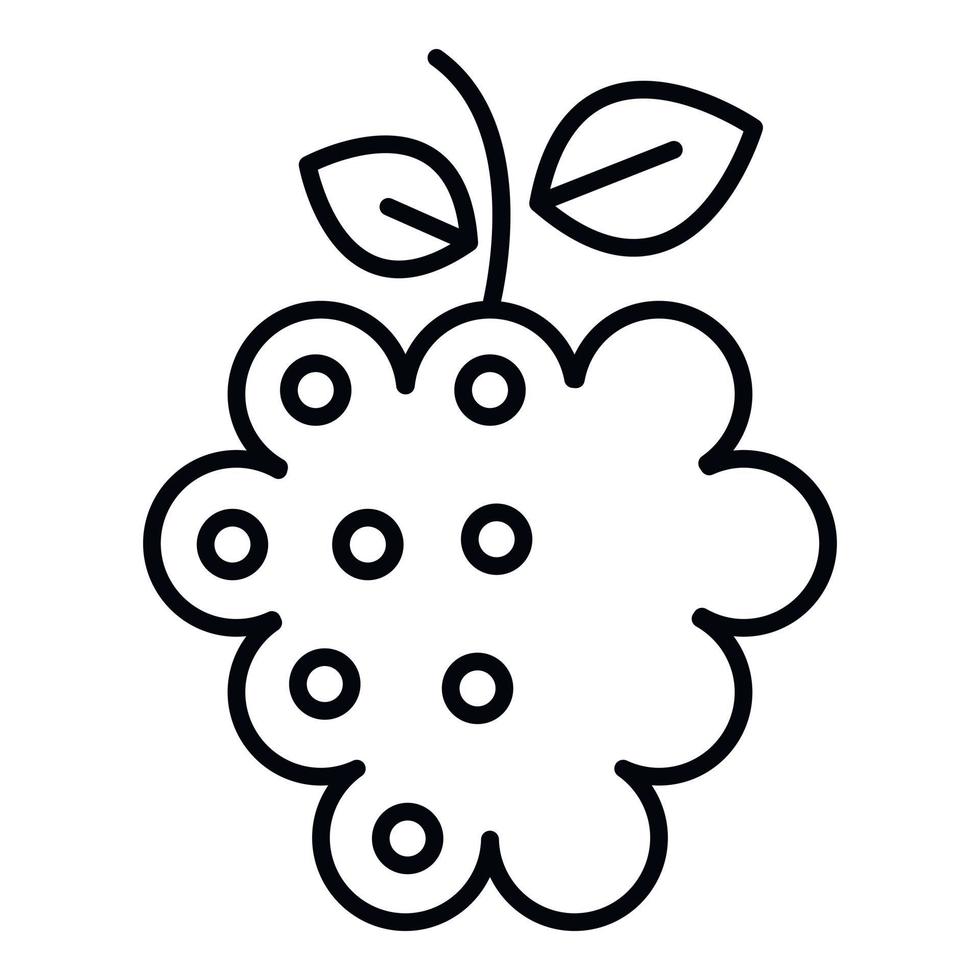 Dessert raspberry icon, outline style vector