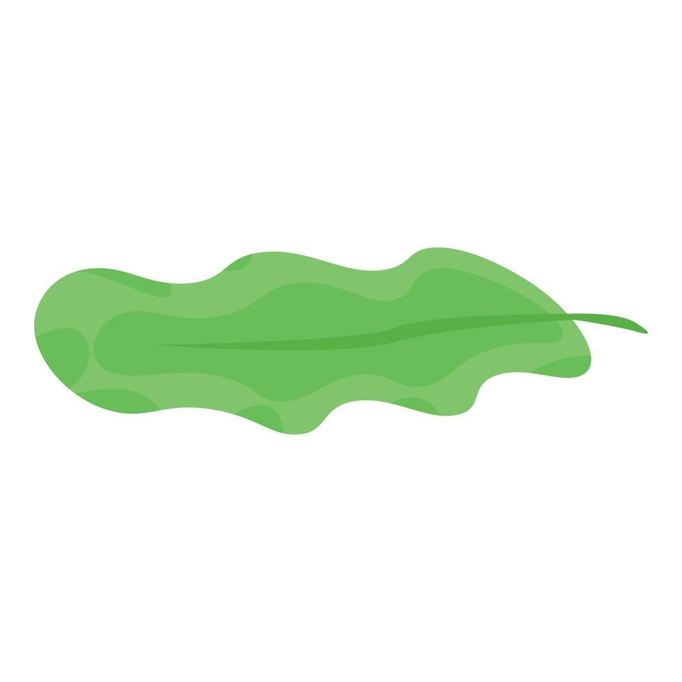 Salad leaf icon, isometric style vector