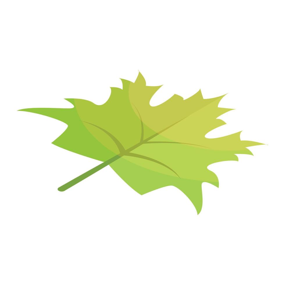 Green maple leaf icon, isometric style vector