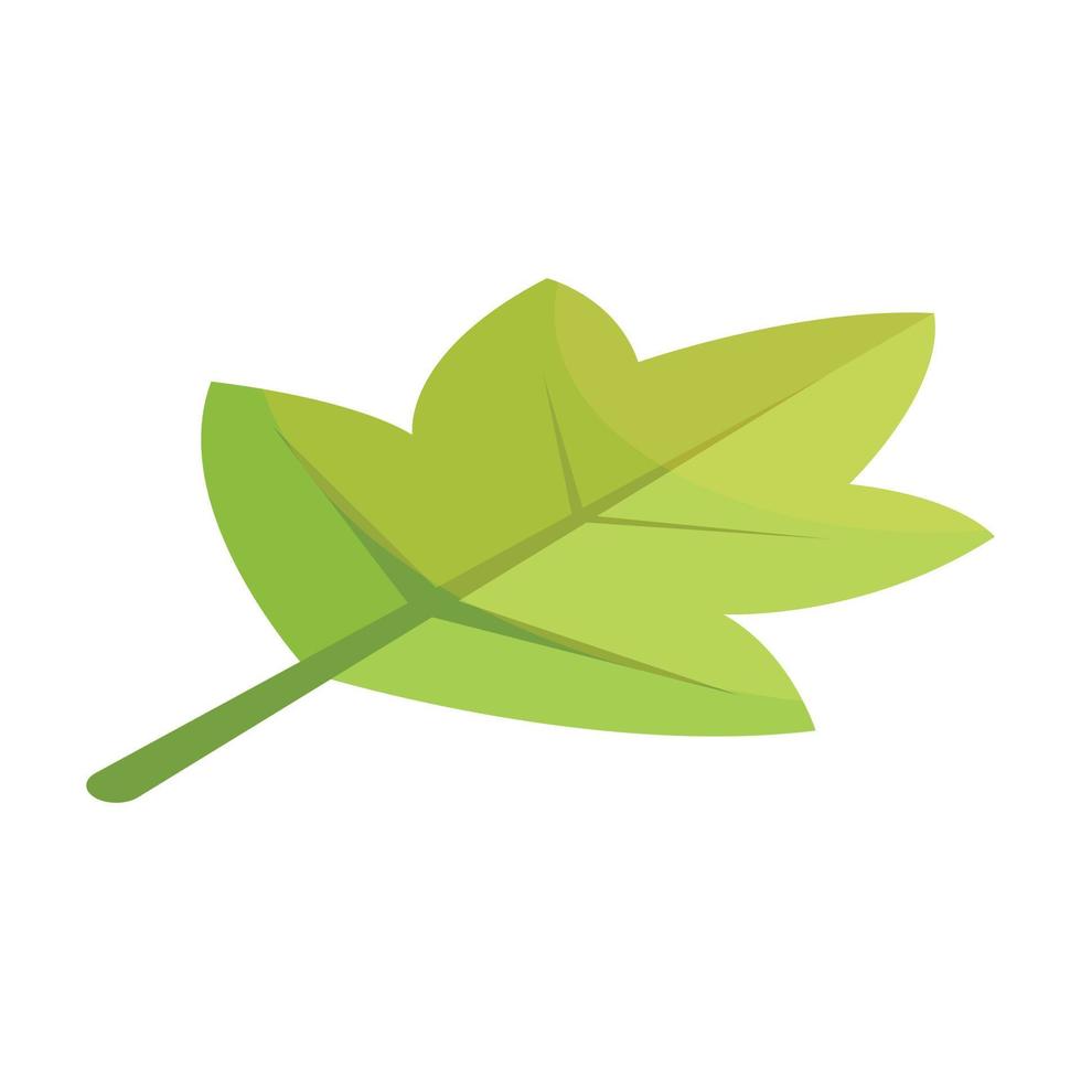 Viburnum green tree leaf icon, isometric style vector