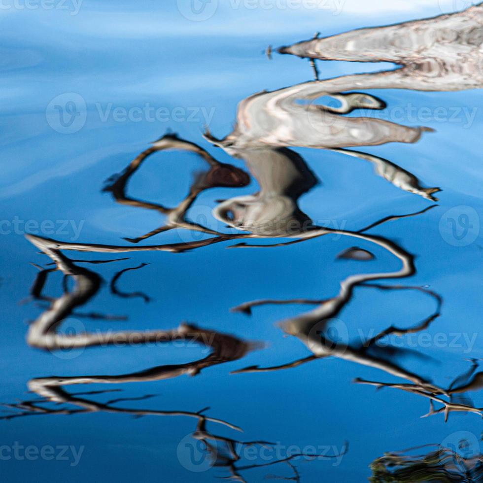 Reflection in Water on a Blue Background photo