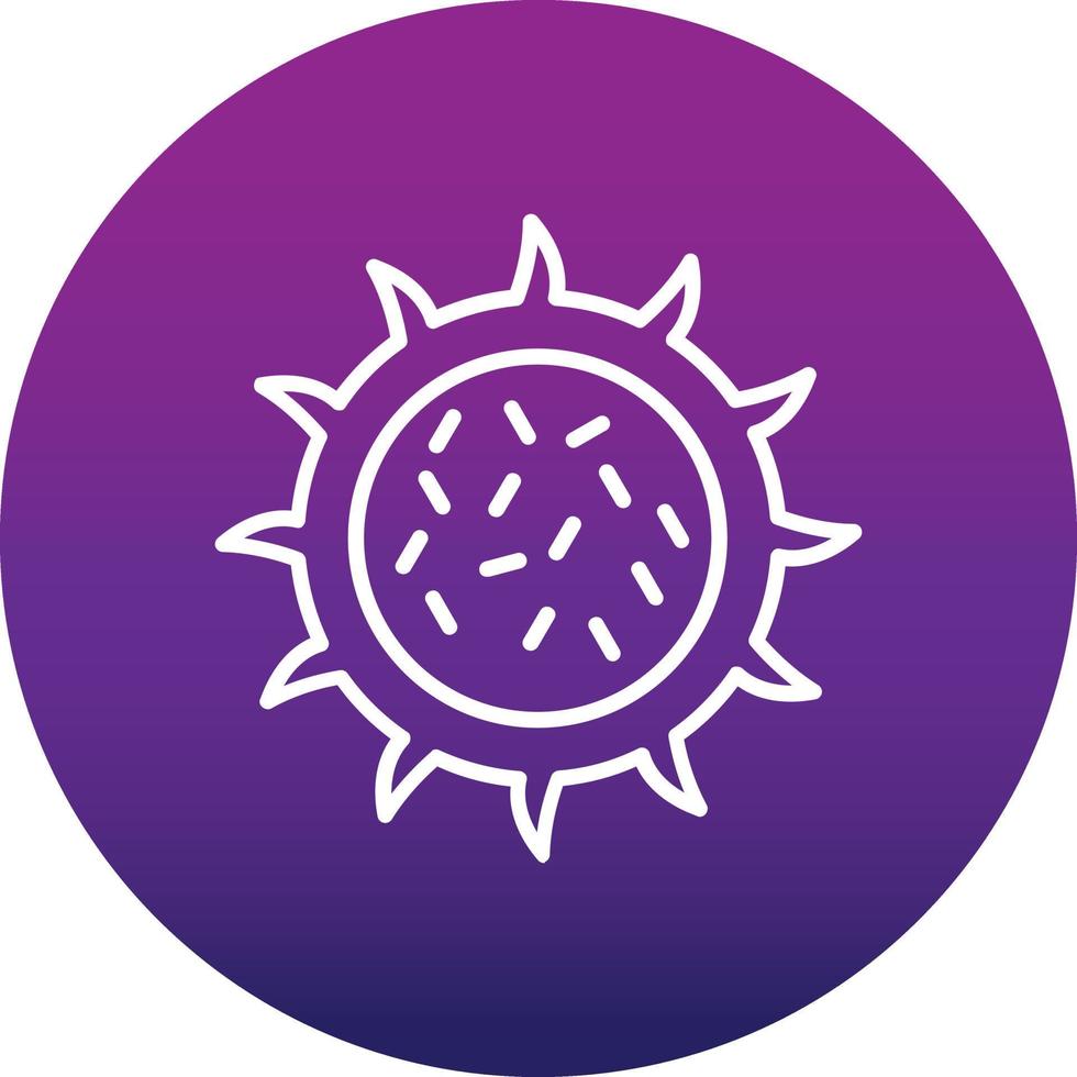 Dragon Fruit Vector Icon