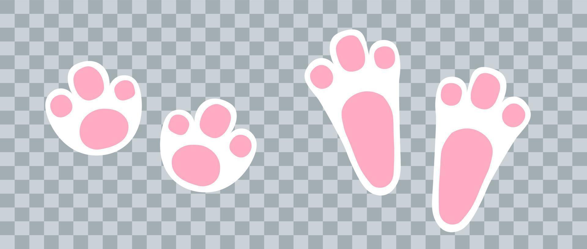 Bunny white footprint vector