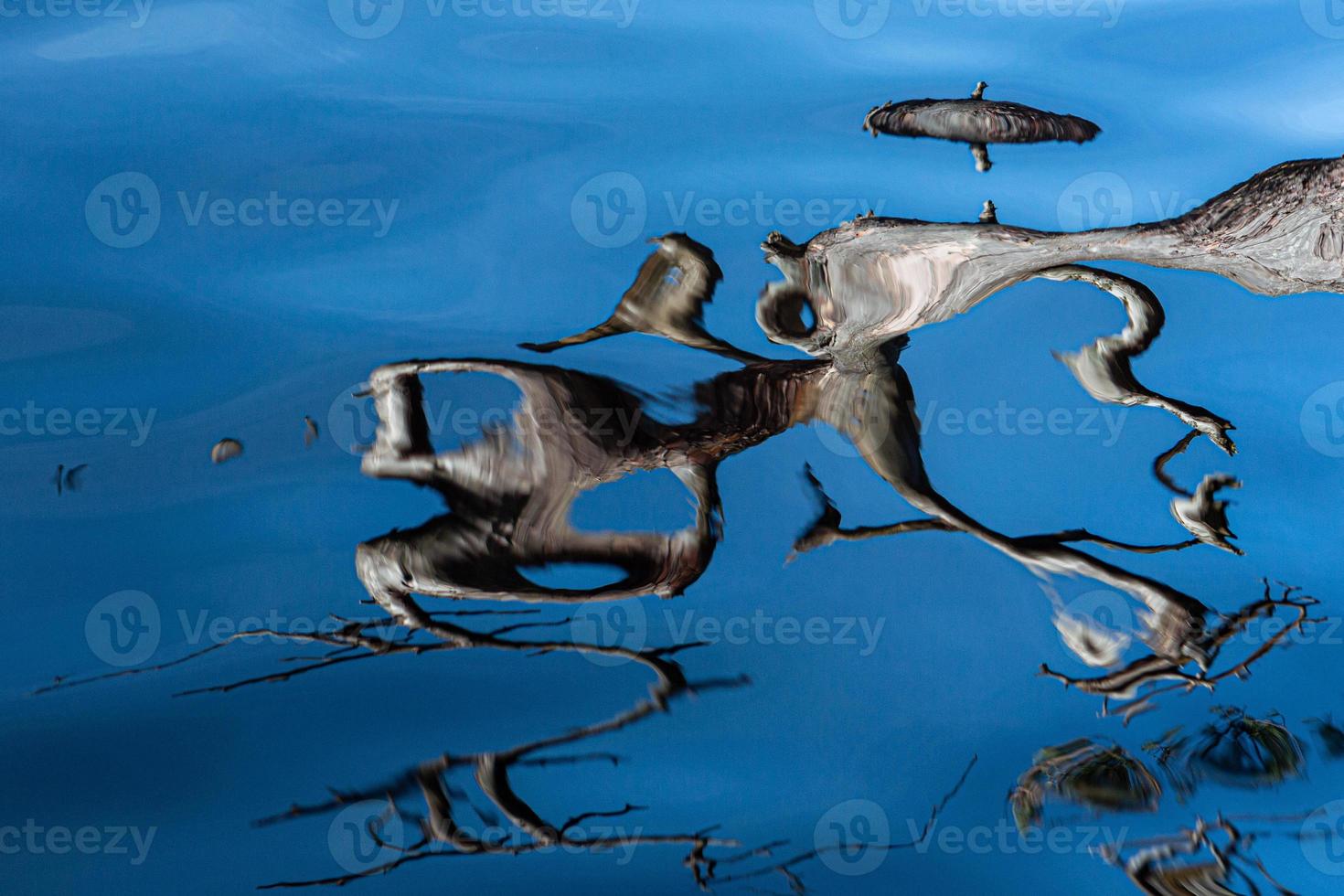 Reflection in Water on a Blue Background photo