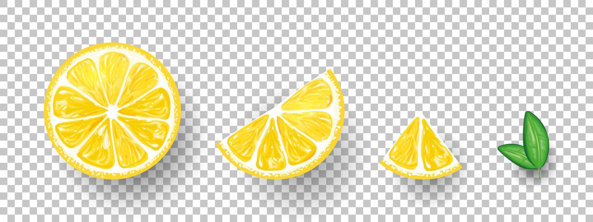 limones cítricos frescos, limones cortados a la mitad y limón picado. ilustración vectorial vector