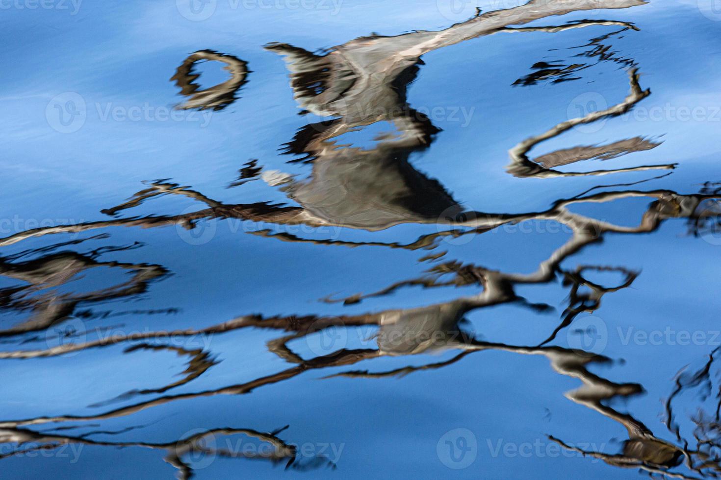 Reflection in Water on a Blue Background photo