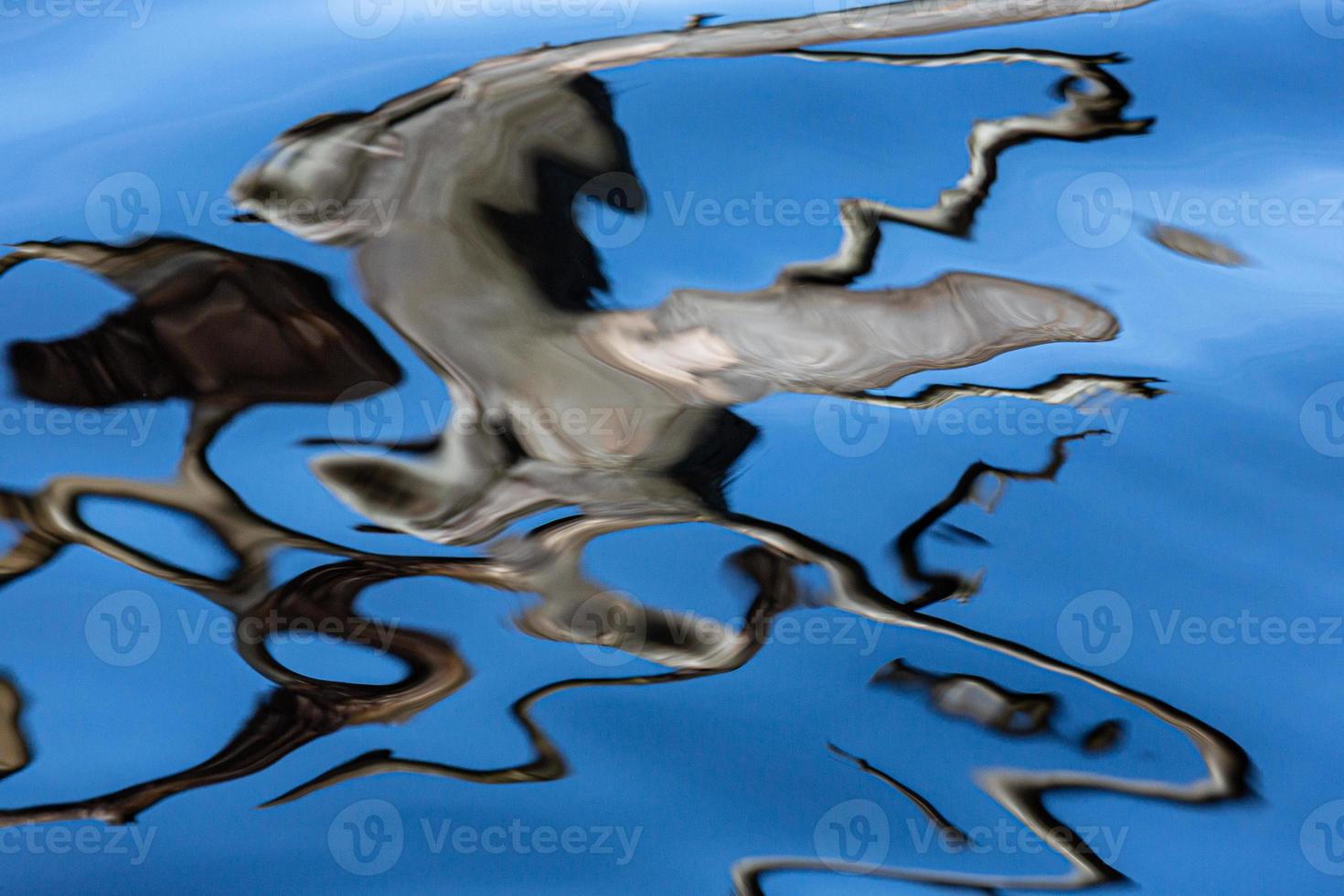 Reflection in Water on a Blue Background photo