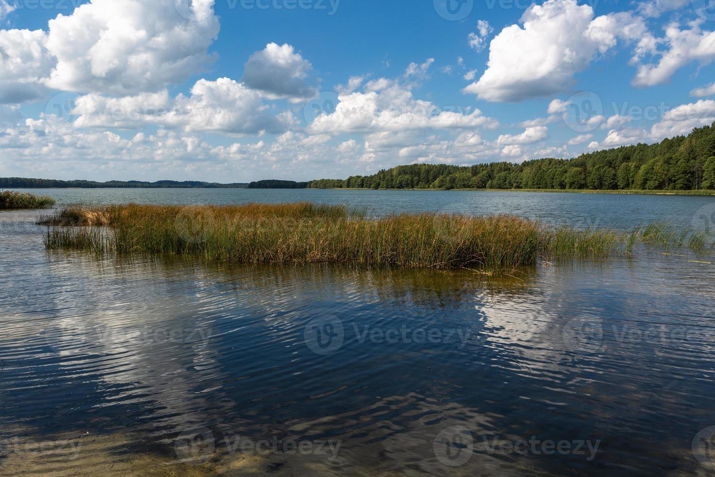 paisajes de verano junto al lago en lituania foto