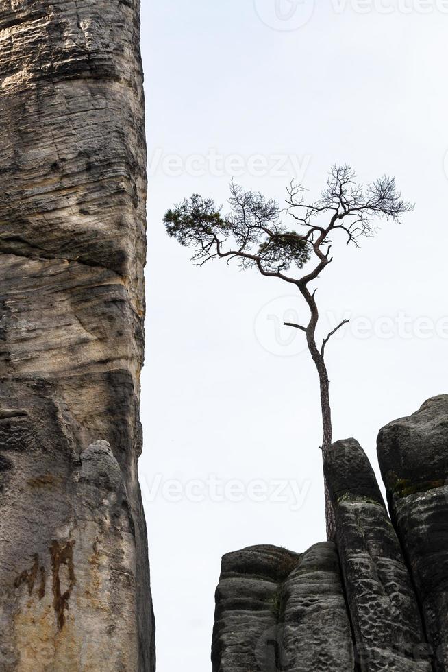 Autumnal Landscapes of Adrspach photo