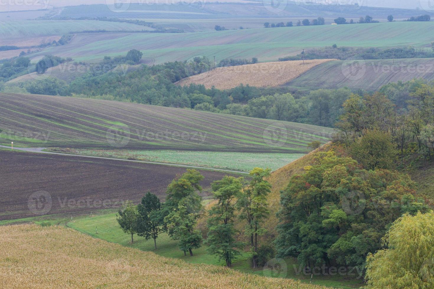 Autumn Landscape  in a Moravian Fields photo