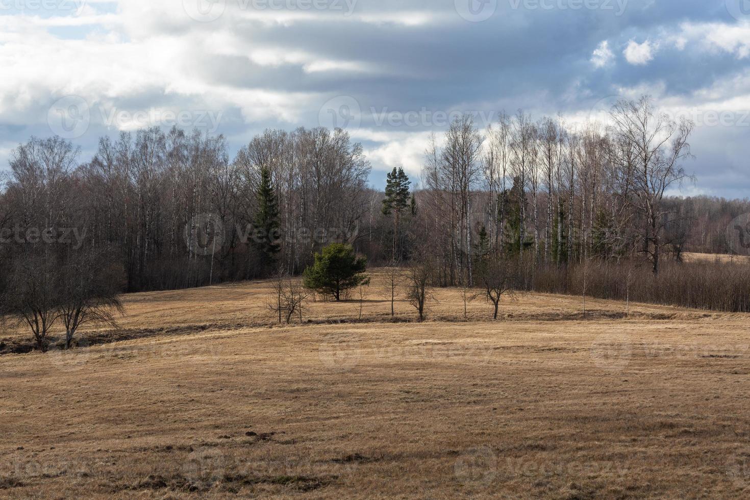 Early Spring Landscapes photo