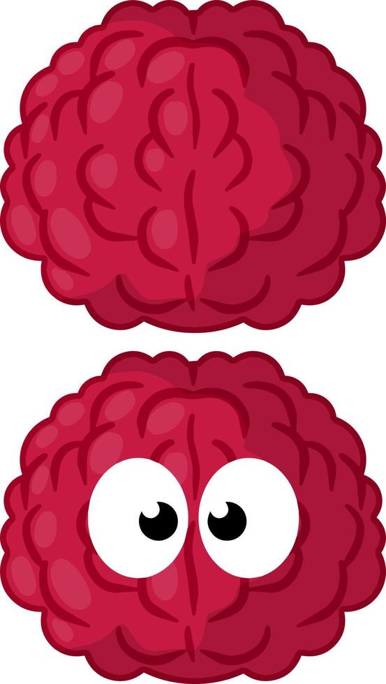 cerebro divertido con ojos. ilustración plana de dibujos animados vector