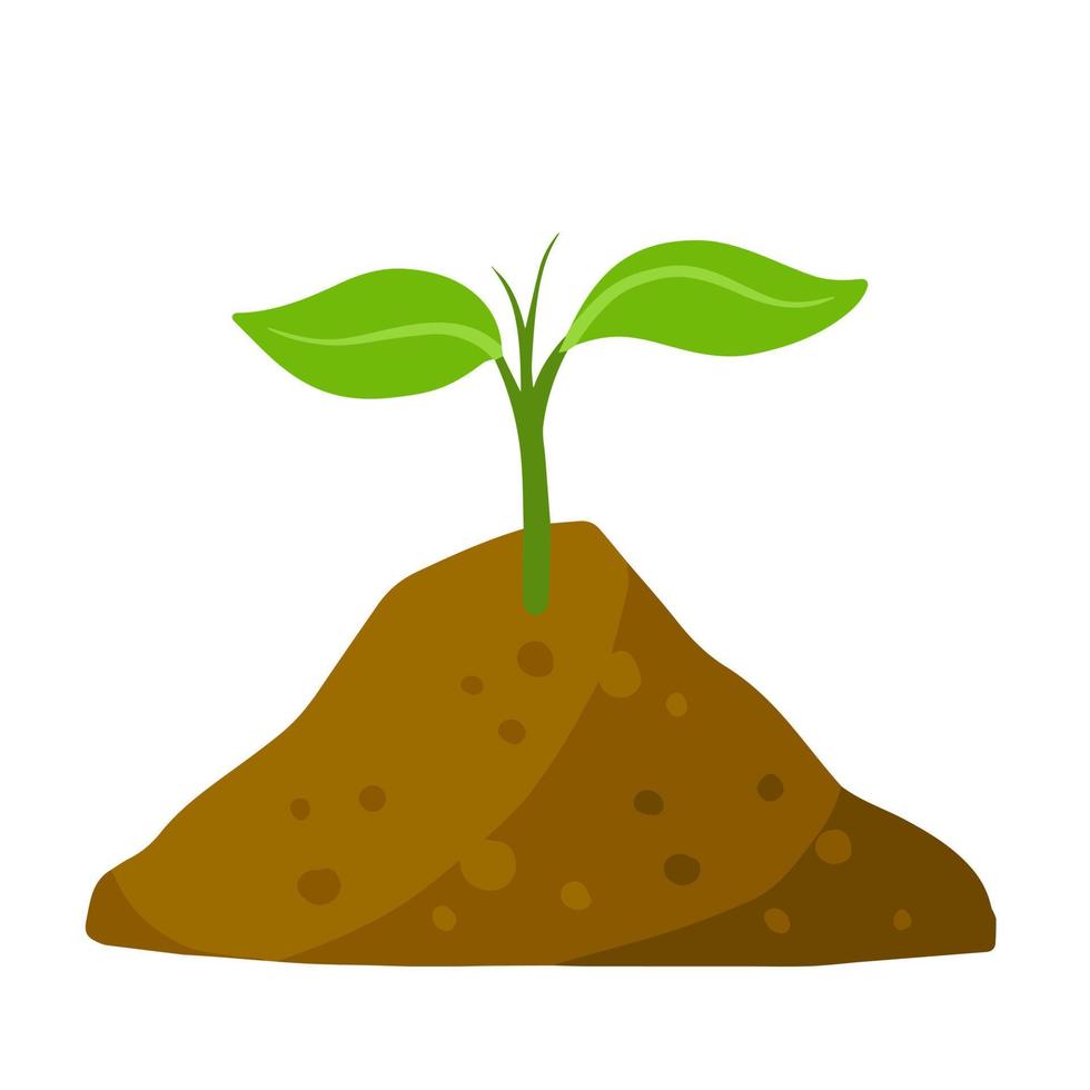 Sprout of plant in ground. Green leaves of young seedlings in soil. Flat cartoon illustration vector