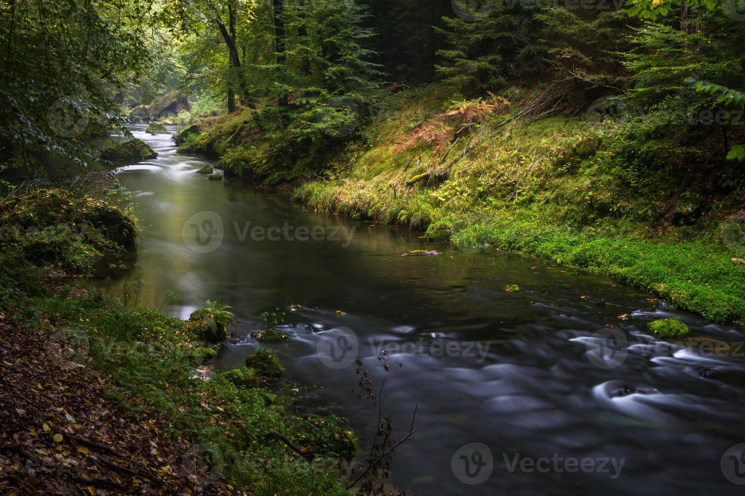 paisajes otoñales en hrensko, río kamenice foto
