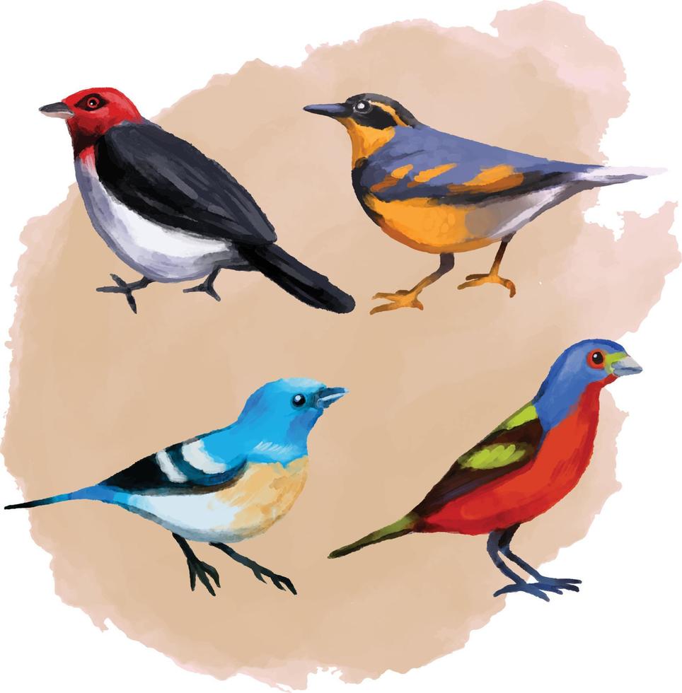 Set of colorful watercolors birds isolated on white background, natural illustration, watercolor birds collection vector