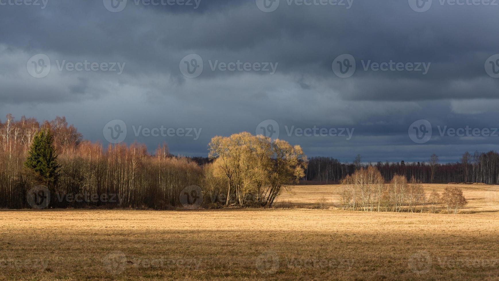 Early Spring Landscapes photo