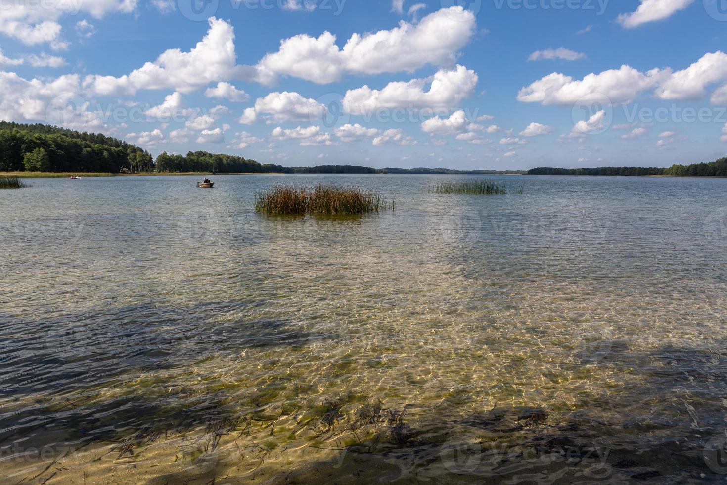 paisajes de verano junto al lago en lituania foto