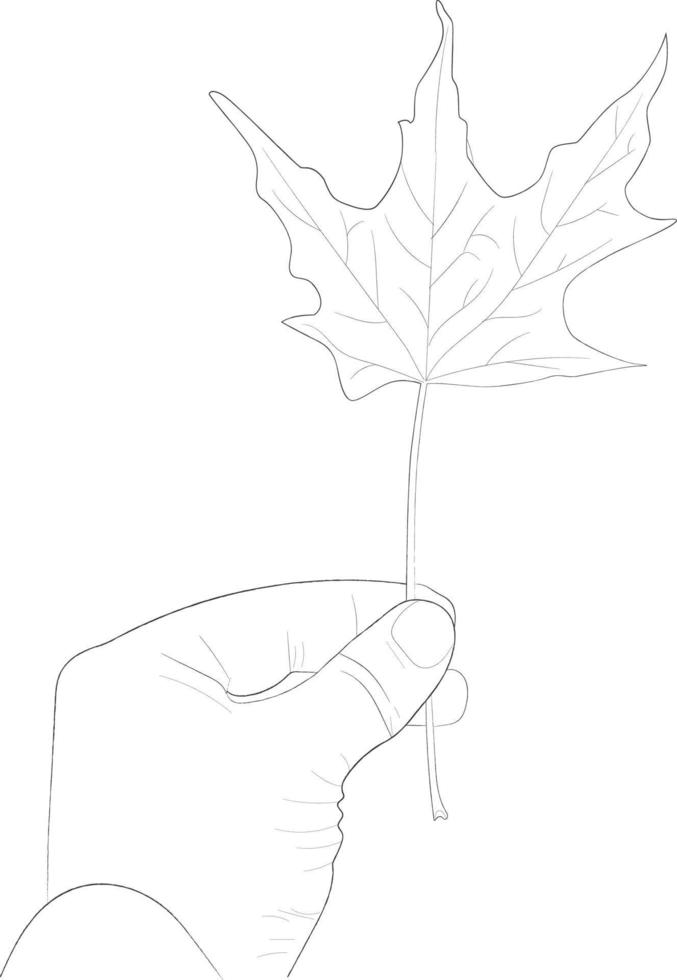 hoja de otoño hombre sostener línea arte dibujo a mano vector